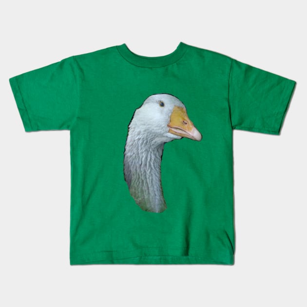 The Glorious Gander Kids T-Shirt by LochNestFarm